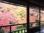 八瀬・瑠璃光院の紅葉（1）