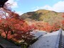 八瀬・瑠璃光院の紅葉（2）