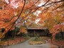 蓮華寺の紅葉（1）