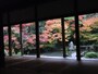 蓮華寺の紅葉（2）