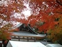 赤山禅院の紅葉