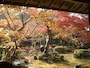 圓光寺の紅葉・黄葉