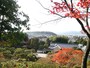 銀閣寺（慈照寺銀閣）の紅葉