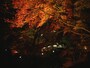 永観堂（禅林寺）の紅葉（2）／ライトアップ