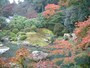 青蓮院門跡の紅葉