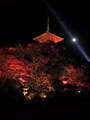 清水寺の紅葉（2）／ライトアップ