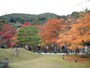 高台寺の紅葉