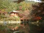 醍醐寺・弁天堂の紅葉