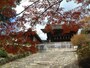 毘沙門堂門跡の紅葉