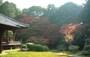 随心院の紅葉