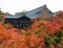 東福寺の紅葉（1）