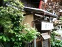 同店店頭