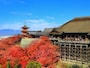 秋の京都を着物で散策