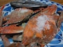真鍋島