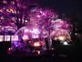 特別席・CHANDONの特製スイート