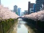 目黒川