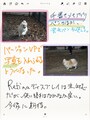 ワコムのメモアプリ「Bamboo Paper」