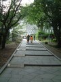 松山城（3）／本丸への坂道