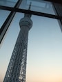 店内から見えるスカイツリーの先端