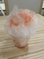 「とちまるショップ」の「日光の天然氷のかき氷」（600円）