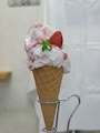「とちまるショップ」の「芳醇とちおとめジェラート」