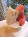 「シンチェリータ」のデュオ（２フレーバー）460円。プラムとペスカ（桃）／ソロ（１フレーバー）420円、トリオ（３フレーバー）500円、コーン（+40円）