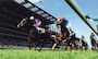 derby