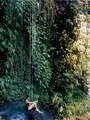 ubud