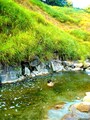 奥小安峡大湯温泉阿部旅館の天然川風呂