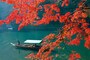 紅葉の嵐山と屋形船