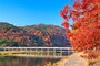 紅葉の嵐山と渡月橋