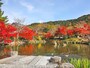 紅葉の円山公園