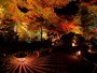 宝厳院「獅子吼の庭」の紅葉ライトアップ