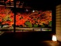 天授庵の紅葉ライトアップ