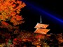 清水寺の紅葉ライトアップ
