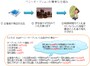 ペニーオークション