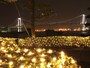 窓の外にはレインボーブリッジ