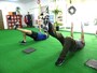 正しいフォームで行うことで、バランスが整えられ、体の機能が向上していきます