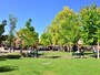 アメリカでは、WiFiが入っている公園も多い。