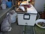 ねこやど