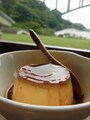 ねこやど