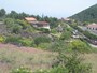 噴火した溶岩からできた土地
