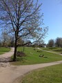park lunch