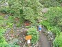 展望台までのトレイルは、お子さんでも登れる短いコース