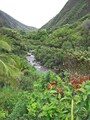 深い緑の渓谷と谷底を流れるイアオ川