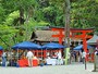 世界の名茶が集まる吉田山の境内