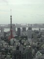 タワーズグリル 景色