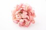 大きなピンクの花のコサージュピン