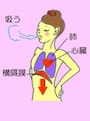 横隔膜