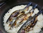 「民宿ちかつゆ」の鮎めし